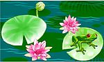 荷花