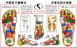 良子足浴足部穴位