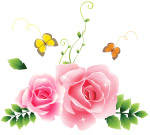 蝶恋花
