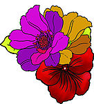花纹