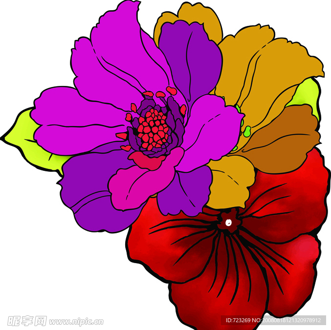 花纹