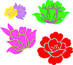 花纹