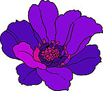 花纹