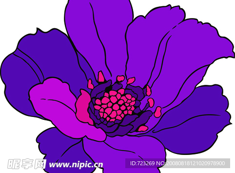 花纹