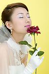 婚纱美女