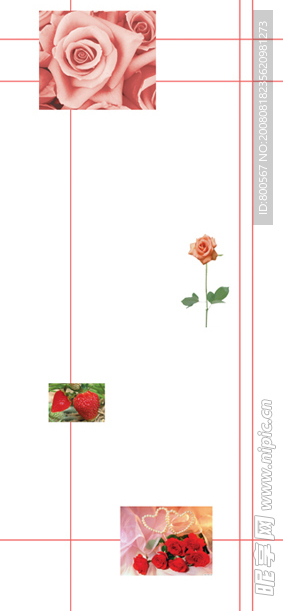 玫瑰花