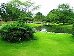 大自然风景