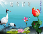 万物和谐