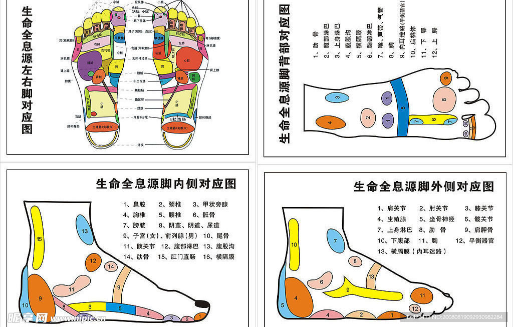 足部穴位