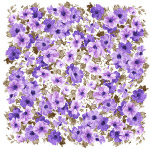 艳丽花纹