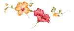 艳丽花纹