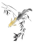 彩色水墨鲤鱼