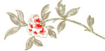 韩版 花饰 底纹