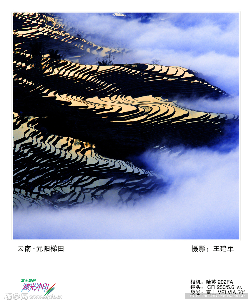 云南元阳梯田