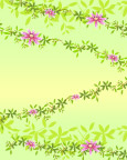 美丽的鲜花底纹
