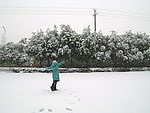 好大一场雪