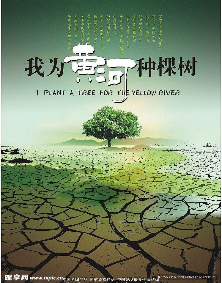 黄河种树