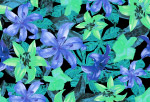 艳丽花纹