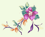 艳丽花纹