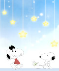 顽皮狗