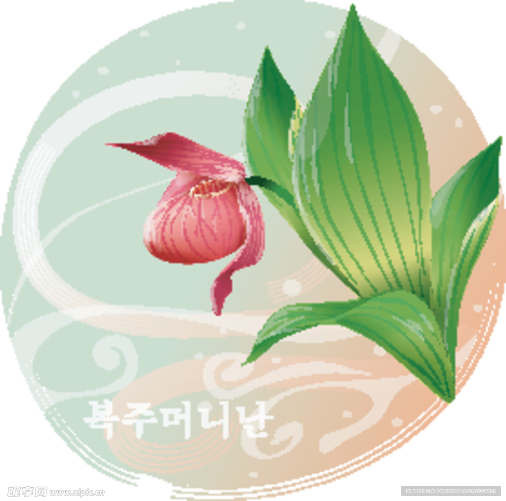 矢量花卉