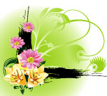 韩国矢量植物花纹
