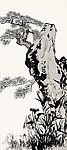 矢量山石松