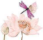 分层花纹