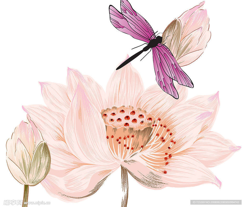 分层花纹