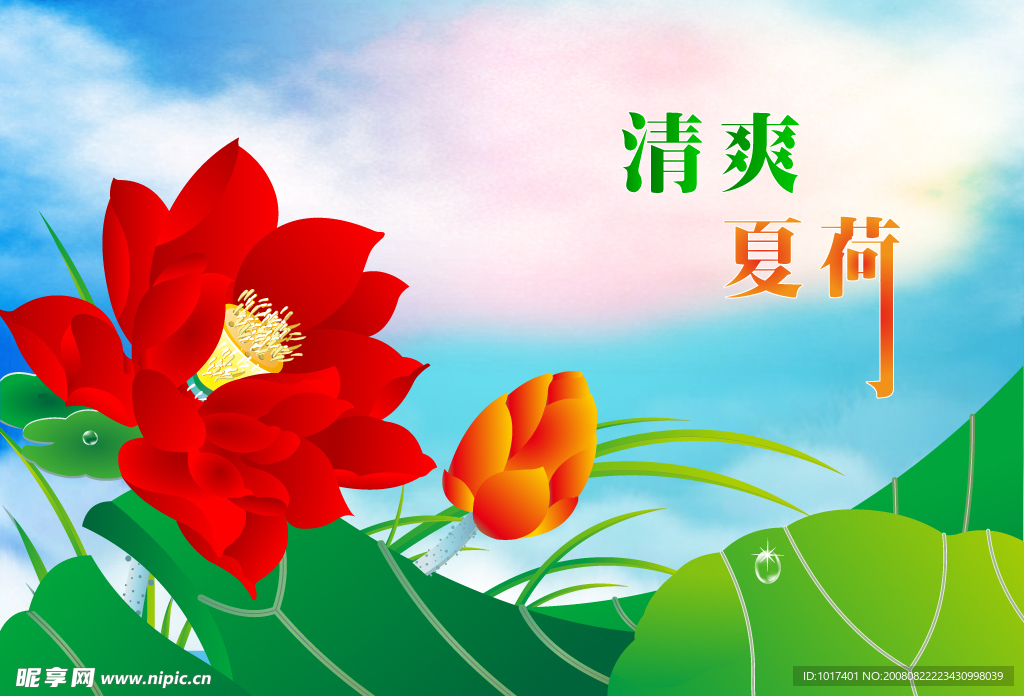 夏荷