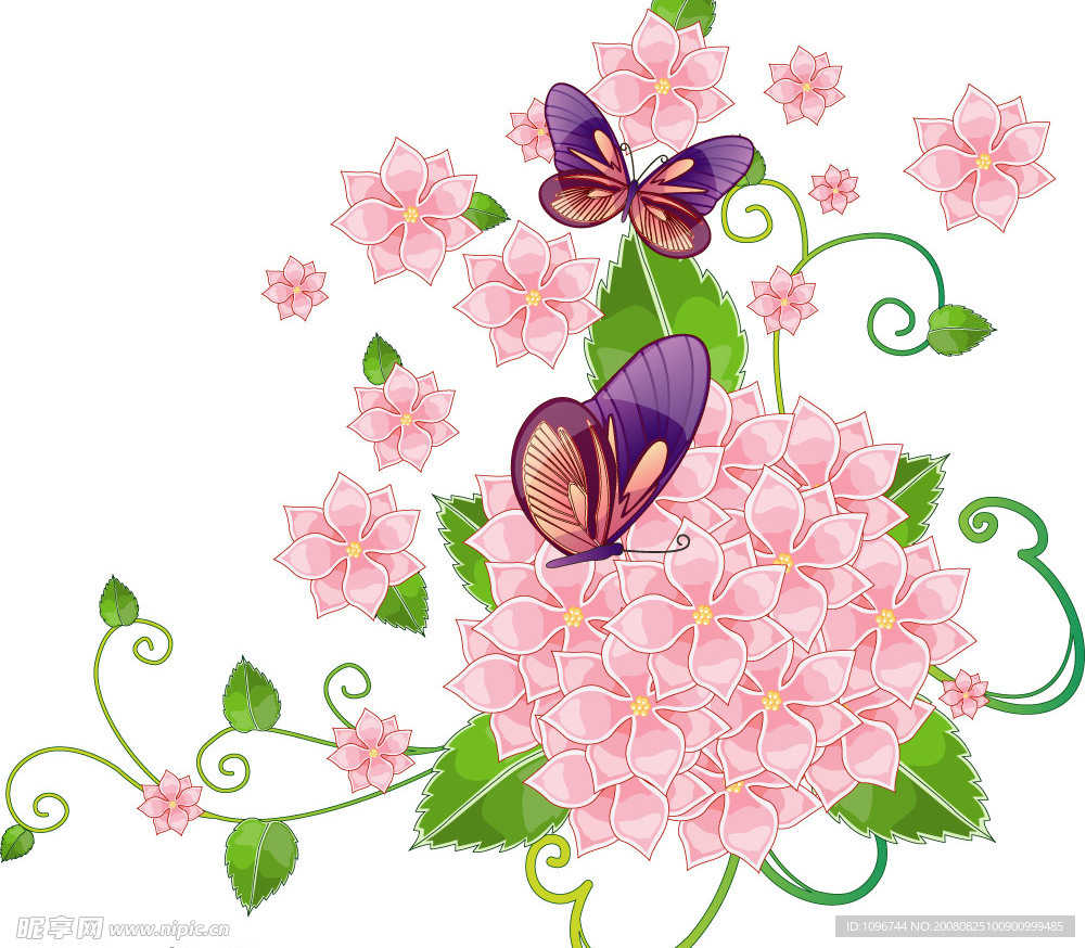 蝴蝶四叶花