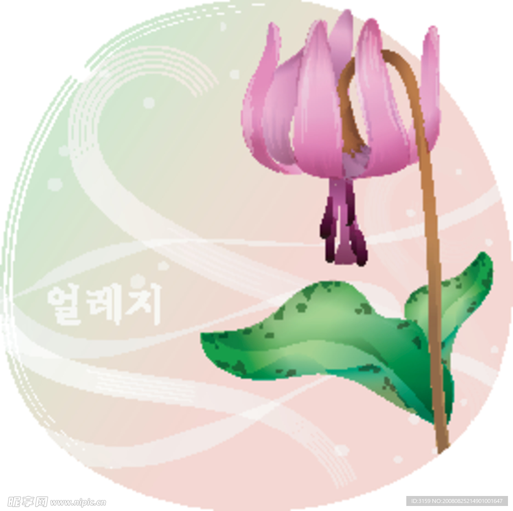 矢量花卉