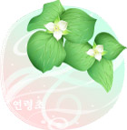 矢量花卉
