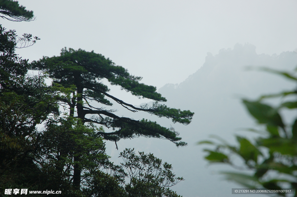 江西三青山风光