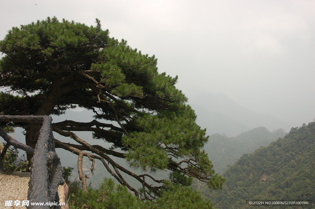江西三青山风光