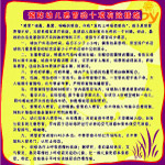 学校模板