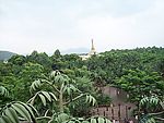 原始森林