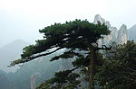 江西三青山风光