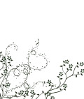 牵牛花