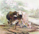 国画