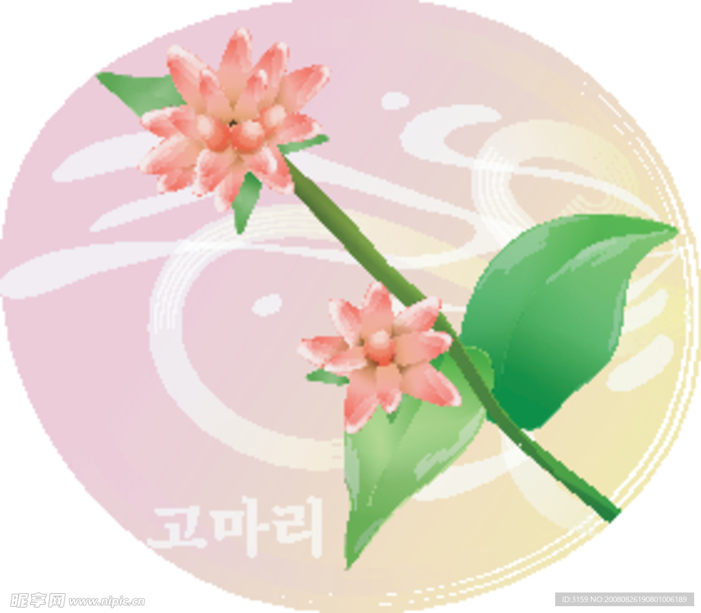 矢量花卉