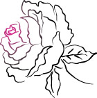 英伦玫瑰