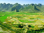 西峰岭八卦田
