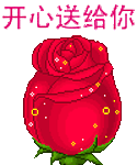 玫瑰花