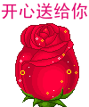 玫瑰花