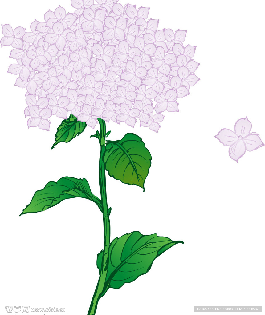 绣珠花