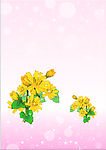 黄花