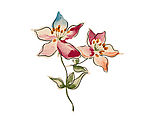 花纹