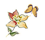 花纹