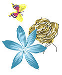 花纹